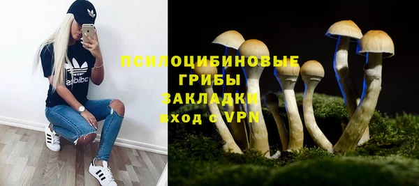альфа пвп Беломорск