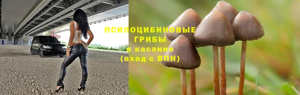 альфа пвп Беломорск