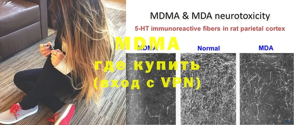 трава Богородицк